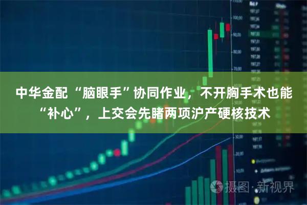 中华金配 “脑眼手”协同作业，不开胸手术也能“补心”，上交会先睹两项沪产硬核技术