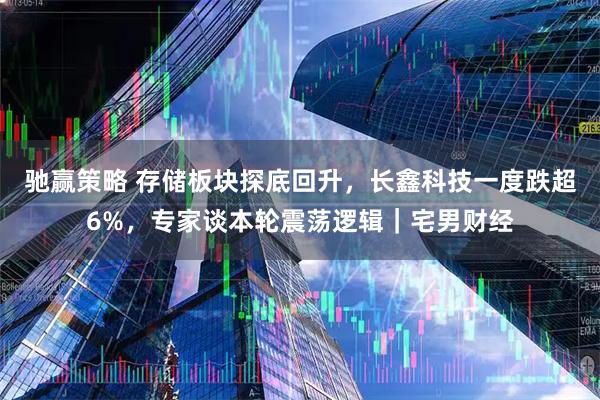 驰赢策略 存储板块探底回升，长鑫科技一度跌超6%，专家谈本轮震荡逻辑｜宅男财经